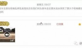 村头最新爆料,最新爆料背后的惊人真相