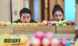 情敌蜜月电影在线观看,浪漫邂逅背后的爱情较量