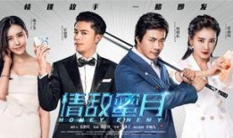 情敌蜜月电影在线观看,浪漫邂逅背后的爱情较量