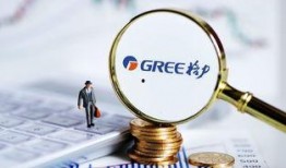 格力最新内部爆料,揭秘格力电器最新战略布局与技术创新